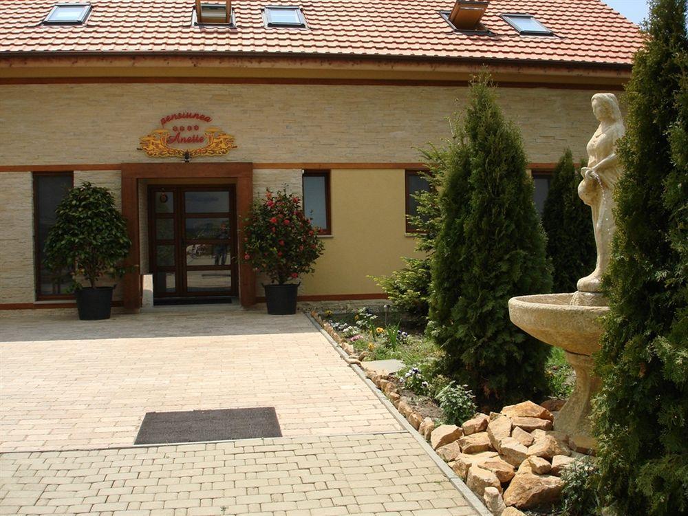 Anette Resort & Spa Covaci Exteriör bild